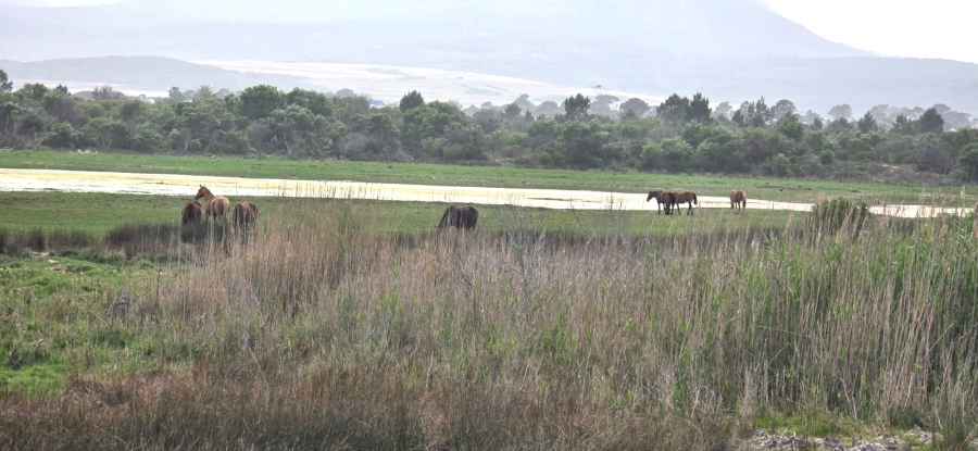 Commercial Property for Sale in Flamingo Bay Western Cape